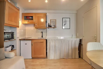Entire apartment at Rue Saint-Martin, 4th Arrondissement, image 8 of 10