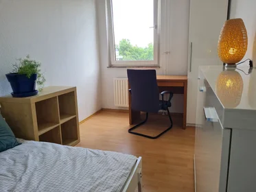 Private room at Alfred-Delp-Straße, Gonsenheim, image 1 of 10