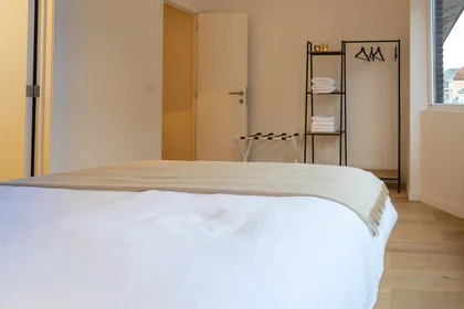 Logement entier à Vleminckveld, Sint-Andries-Bourla, image 3 de 10