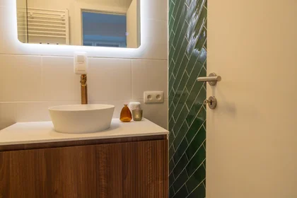 Logement entier à Vleminckveld, Sint-Andries-Bourla, image 10 de 10
