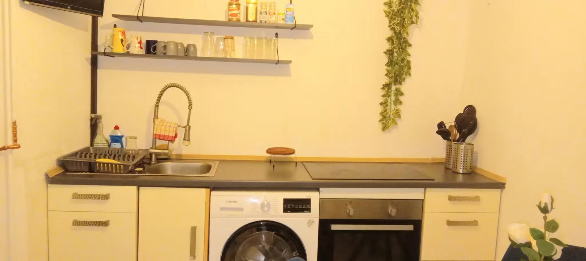 Budget-friendly student room close to campus in
