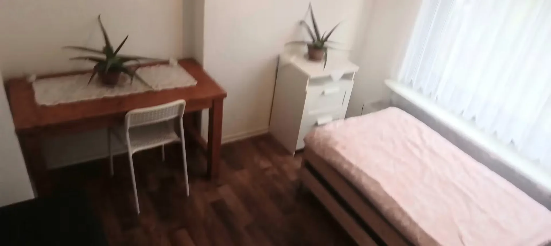 Affordable room for students with ample lighting in