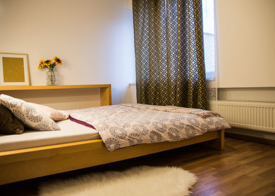 Bratislava içinde 3 yatak odalı konaklama