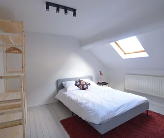 Privatzimmer in der Rue Antoine Gautier 119, 1040 Etterbeek, Belgium, bild 1 von 10