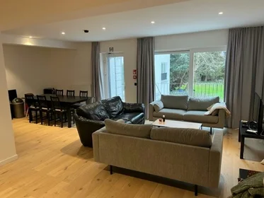 Logement entier à Tweekleinewegenstraat, , image 1 de 10