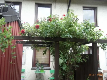 Logement entier à Bersågränd 20, image 1 de 10