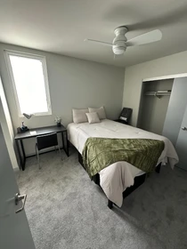 Entire fully furnished flat in San-diego