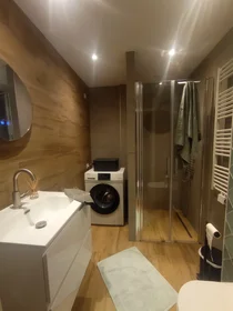 Entire apartment at Orteliusstraat 117hs, image 8 of 12