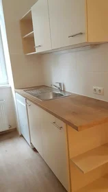 Quarto privado em Untere Weißgerberstraße, 3. Bezirk-Landstraße, imagem 10 de 10