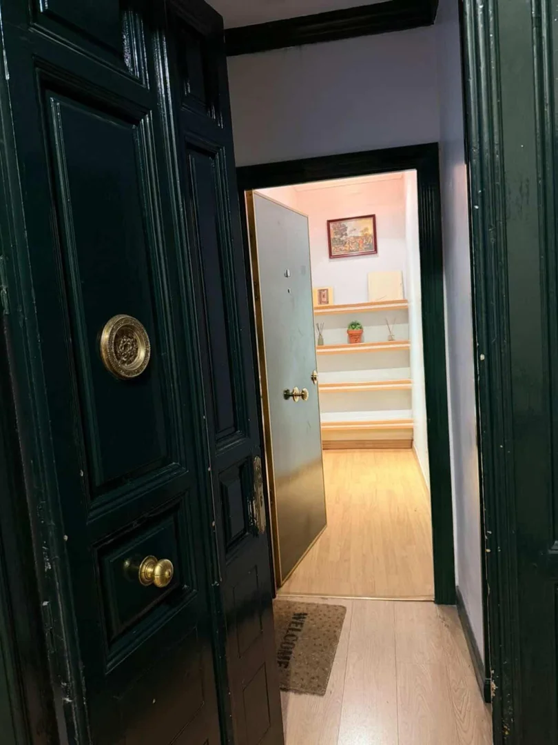 Affordable room for students with ample lighting in