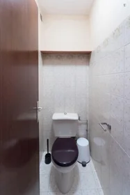 Privatzimmer in der Boulevard Lascrosses, bild 8 von 14