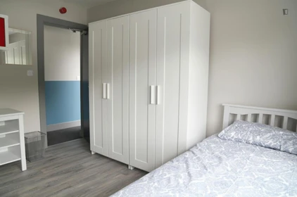 Room for rent with double bed Dublin