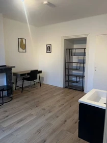 Room for rent with double bed Den-haag