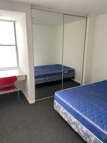 Room for rent with double bed Urbana-champaign