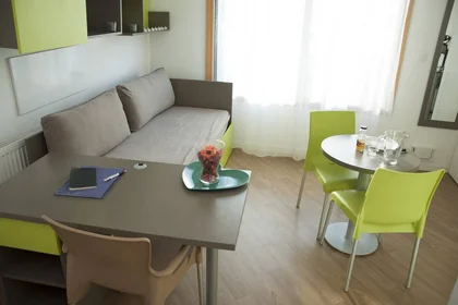 Private room in residence at Issy-les-Moulineaux, 92130, image 1 of 9
