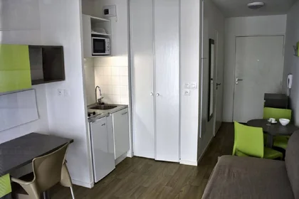 Private room in residence at Issy-les-Moulineaux, 92130, image 9 of 9