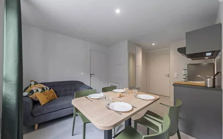 Habitación privada en residencia en Nancy, 54000, imagen 3 de 17