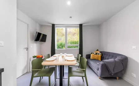 Habitación privada en residencia en Nancy, 54000, imagen 5 de 17
