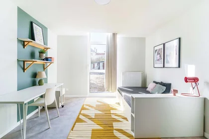Habitación privada en residencia en Nancy, 54000, imagen 8 de 17