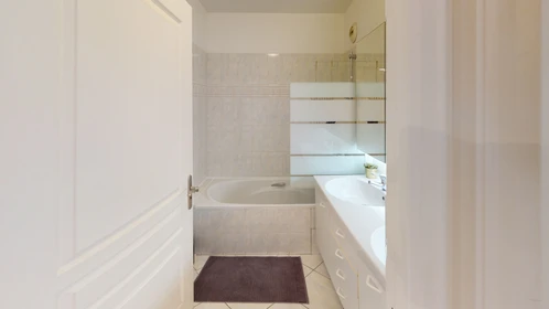 Chambre privée à Rue Pierre Lhomme, image 16 de 22