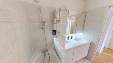 Chambre privée à Rue Pierre Lhomme, image 19 de 22