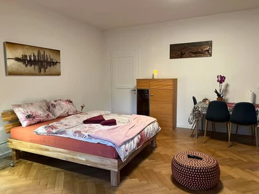 Accommodation in the centre of Basel