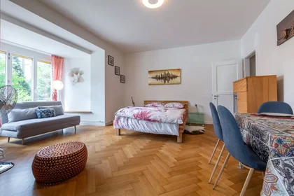 Całe miejsce Eggfluhstrasse, Bachletten, obraz 2 10