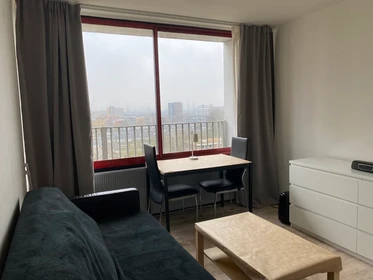 Entire fully furnished flat in Amsterdam