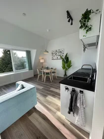 Appartamento in Swammerdamstraat, Zuilen, immagine 1 di 10