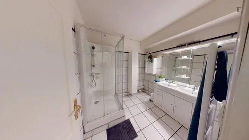 Stanza privata in Boulevard d'Arcole, immagine 17 di 21
