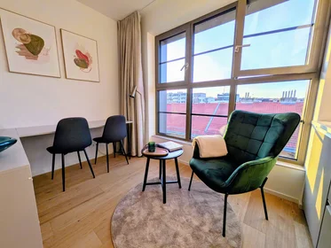 Apartamento inteiro em Bratislavská, Brno-sever, imagem 1 de 10