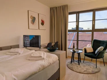 Apartamento inteiro em Bratislavská, Brno-sever, imagem 5 de 10