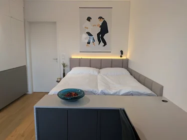 Apartamento inteiro em Bratislavská, Brno-sever, imagem 7 de 10