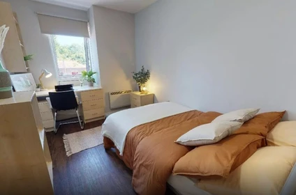 Habitación en alquiler con cama doble Wolverhampton