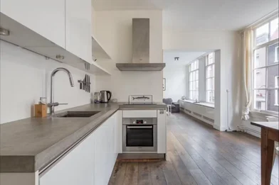 Entire apartment at Monnikenstraat, Amsterdam-Centrum, image 1 of 10