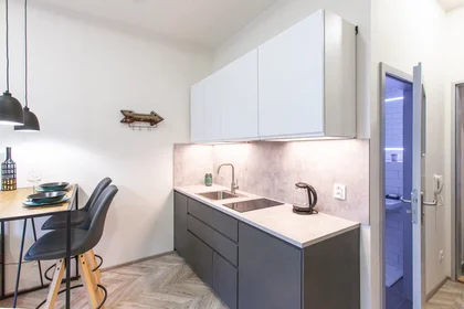 Apartamento inteiro em Vlhká, Zábrdovice, imagem 3 de 10