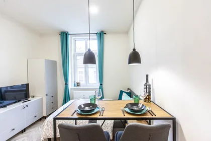 Apartamento inteiro em Vlhká, Zábrdovice, imagem 4 de 10