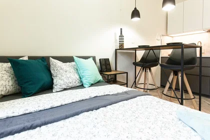 Apartamento inteiro em Vlhká, Zábrdovice, imagem 5 de 10
