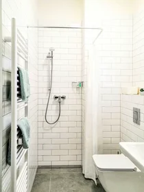 Apartamento inteiro em Vlhká, Zábrdovice, imagem 7 de 10