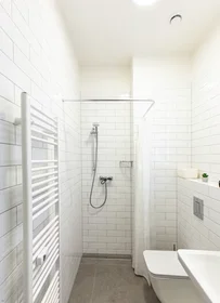 Apartamento inteiro em Vlhká, Zábrdovice, imagem 9 de 10