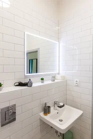 Apartamento inteiro em Vlhká, Zábrdovice, imagem 10 de 10