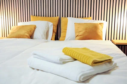Apartamento inteiro em Cejl, Zábrdovice, imagem 1 de 10