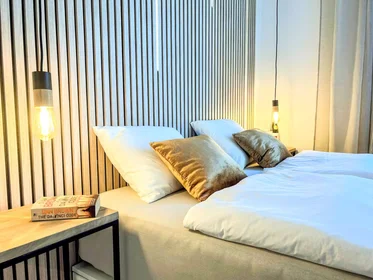 Apartamento inteiro em Cejl, Zábrdovice, imagem 5 de 10