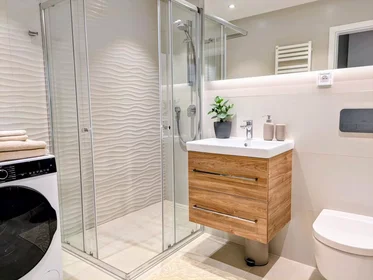 Apartamento inteiro em Cejl, Zábrdovice, imagem 8 de 10
