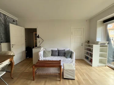 Logement entier à Bryggervangen, Østerbro, image 1 de 10