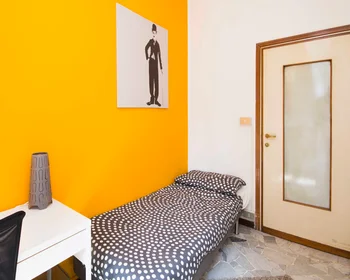 Stanza privata in Via Bartolomeo D'Alviano, immagine 1 di 10