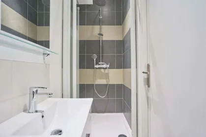 Prywatny pokój 55 Rue Malakoff, 59800 Lille, France, obraz 5 20