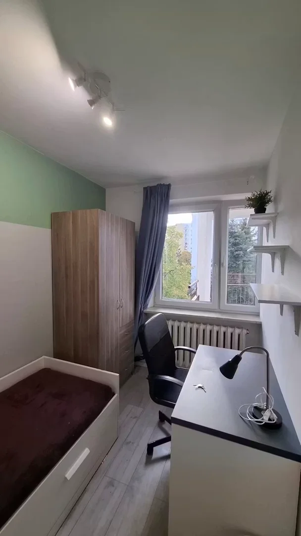 Affordable room for students with ample lighting in 