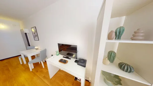 Entire apartment at Boulevard de la Cluse, Plainpalais, image 3 of 10