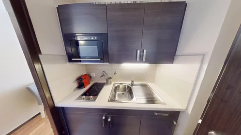 Entire apartment at Boulevard de la Cluse, Plainpalais, image 6 of 10